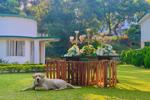 Fortuna Heritage Home Kandy thumbnail photographs